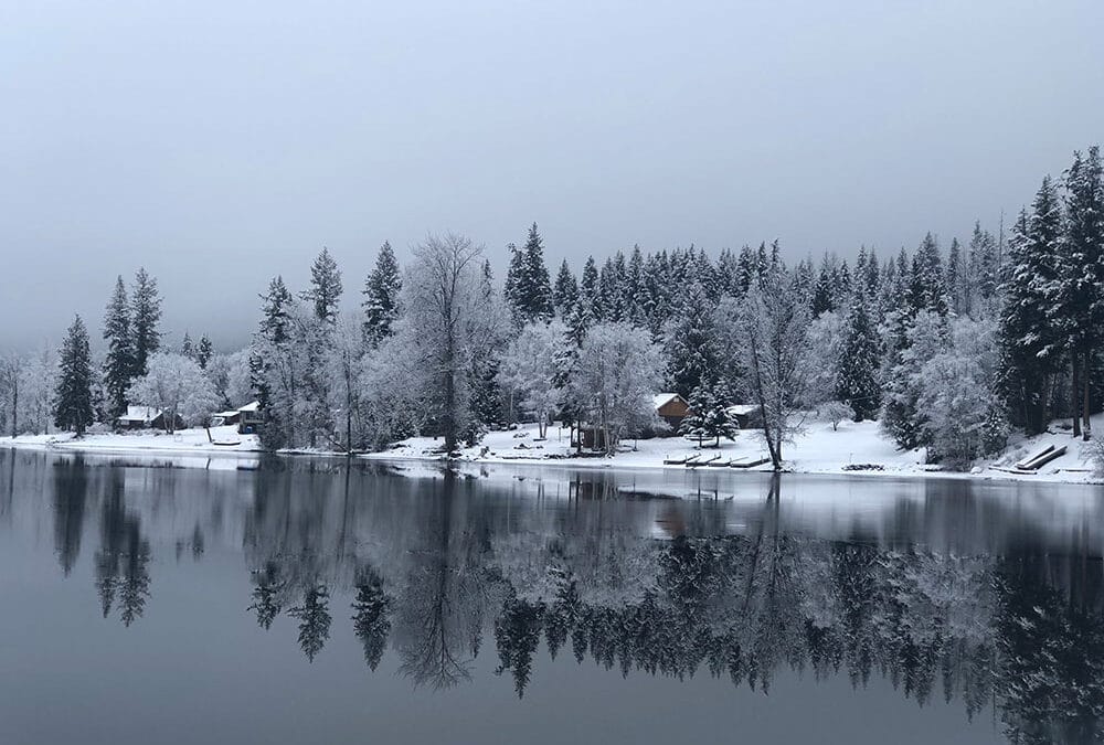 Embracing Serene Moments: Daily Walks and Artistic Triumphs