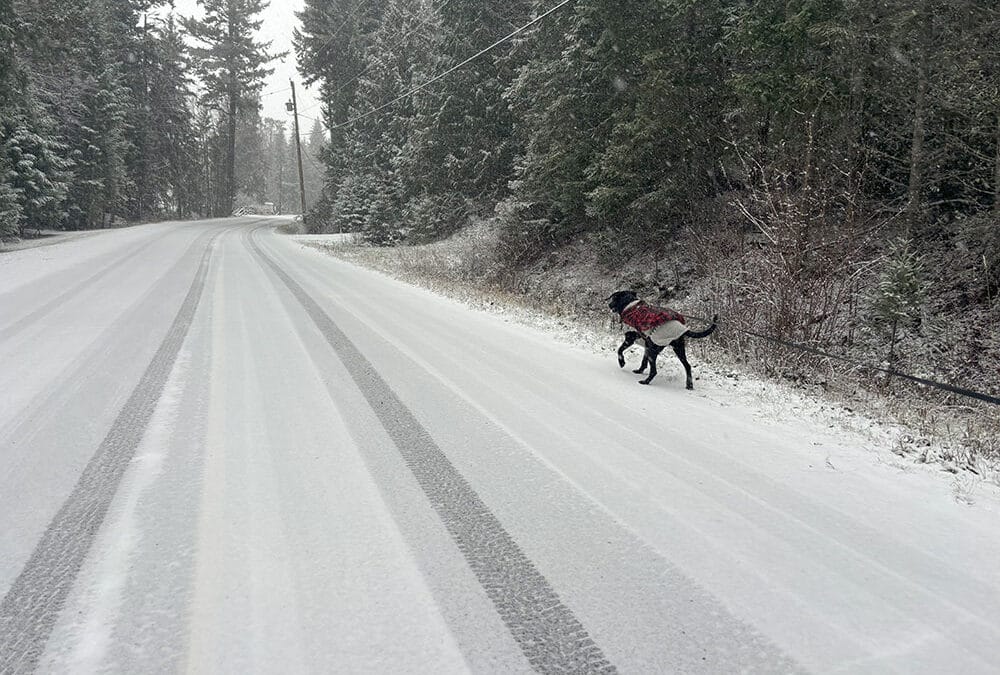 Winter Reflections: Celebrating Achievements and Setting New Art Goals for a Prosperous 2025